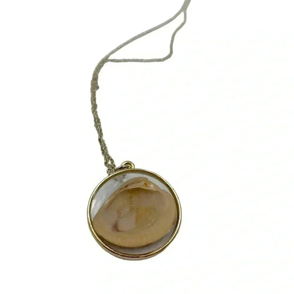 Seashells by the Seashore Cockle Shell Resin Statement Necklace Silver Chain 22" - Picture 4 of 5